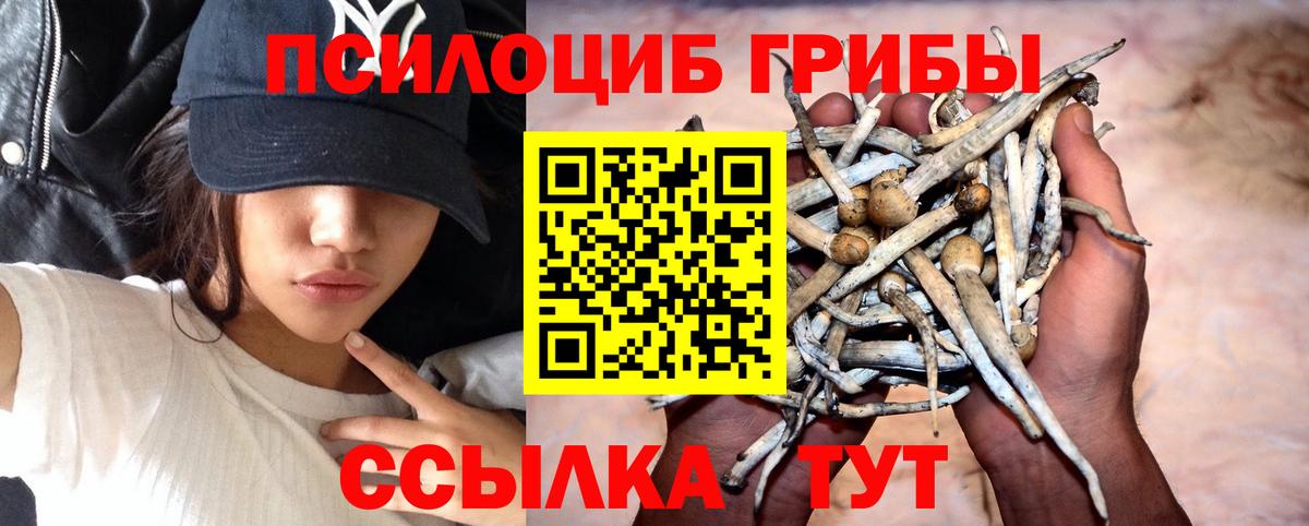 Псилоцибиновые грибы прущие грибы Гуково