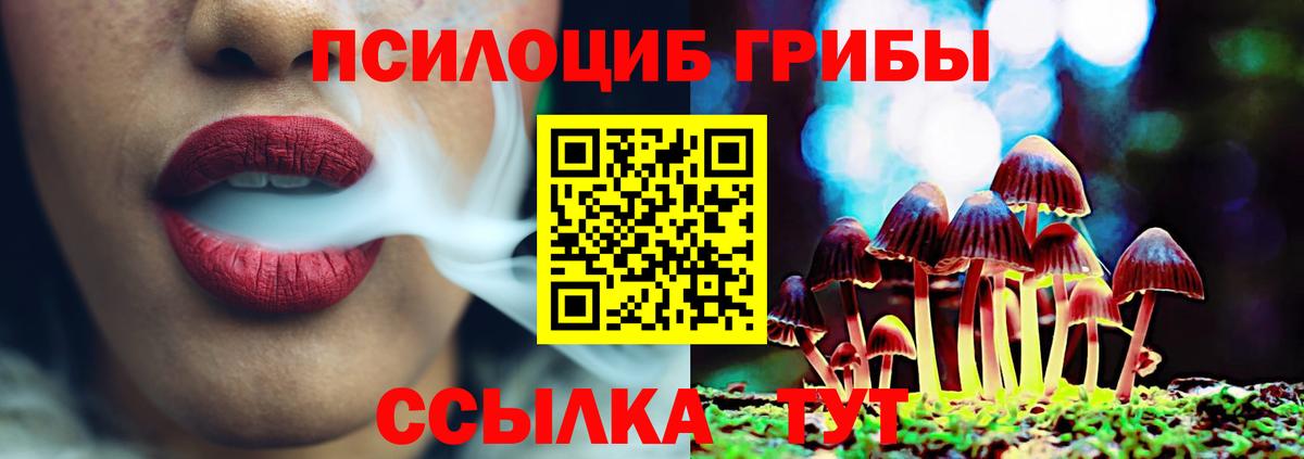 Галлюциногенные грибы прущие грибы  купить наркотик  Псилоцибиновые грибы прущие грибы  Гуково  Вход с VPN 