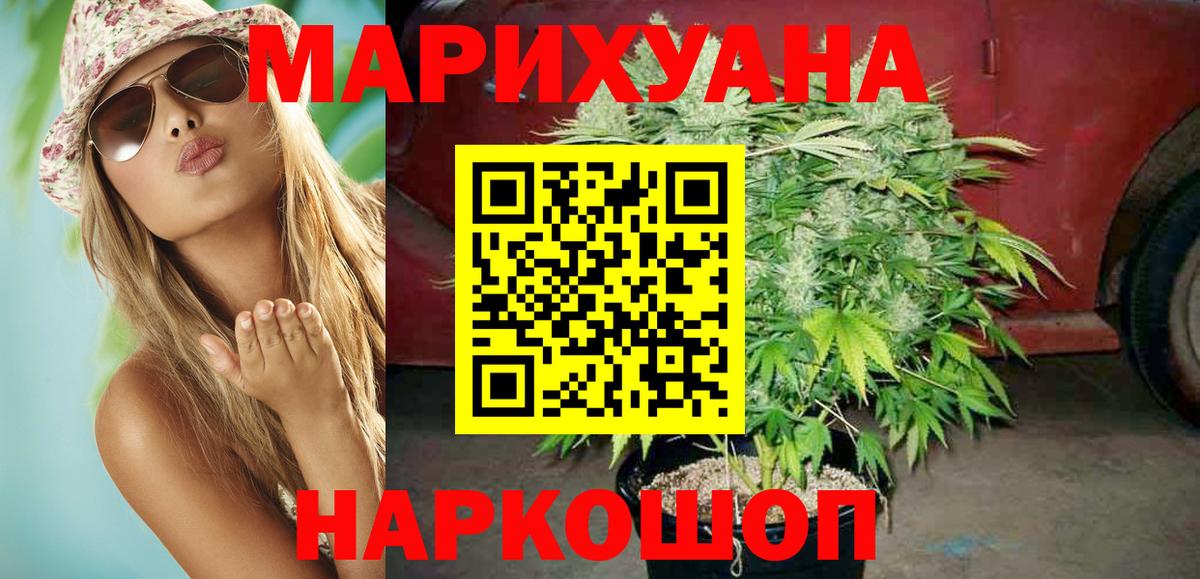 МАРИХУАНА сатива Гуково